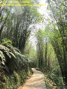 Luzhou 084